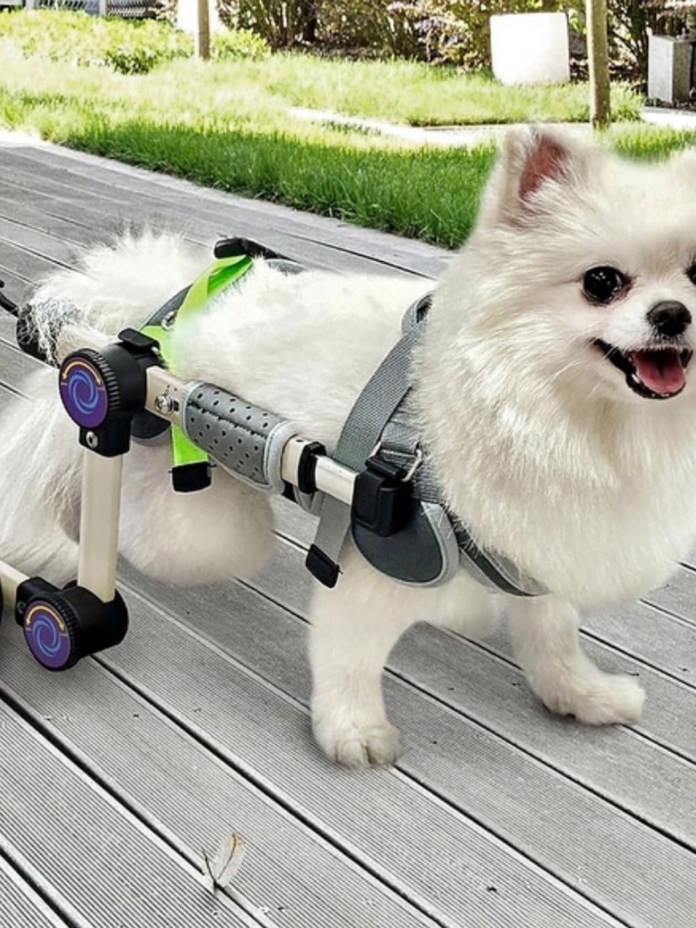 LetPetRun Dog Wheelchair for Back Legs XS Size 2